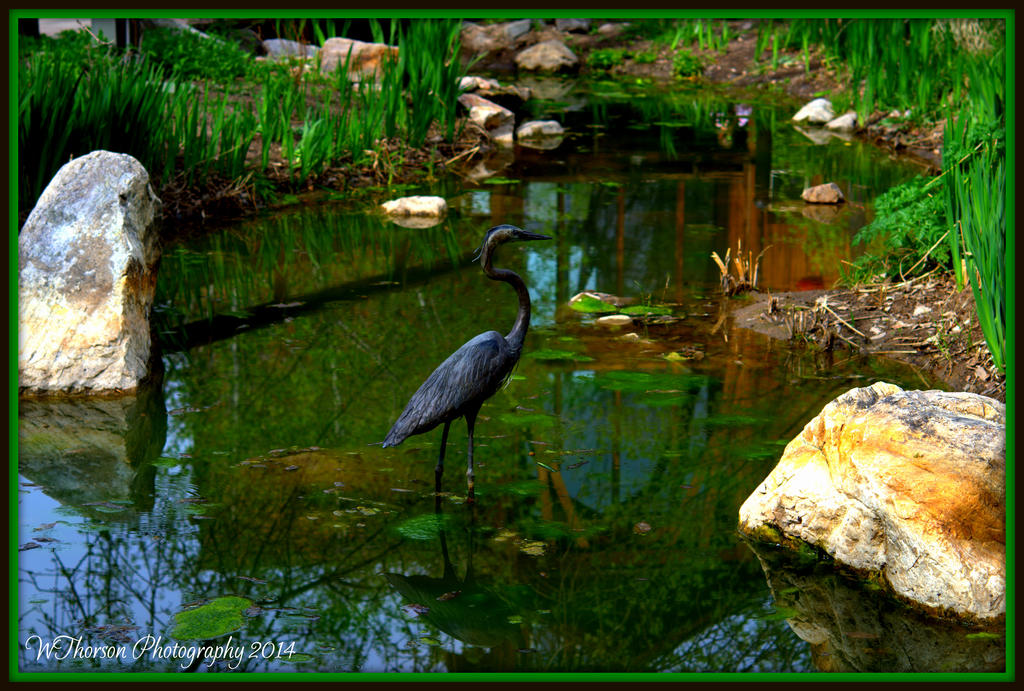 Statue at Nature Center.jpg