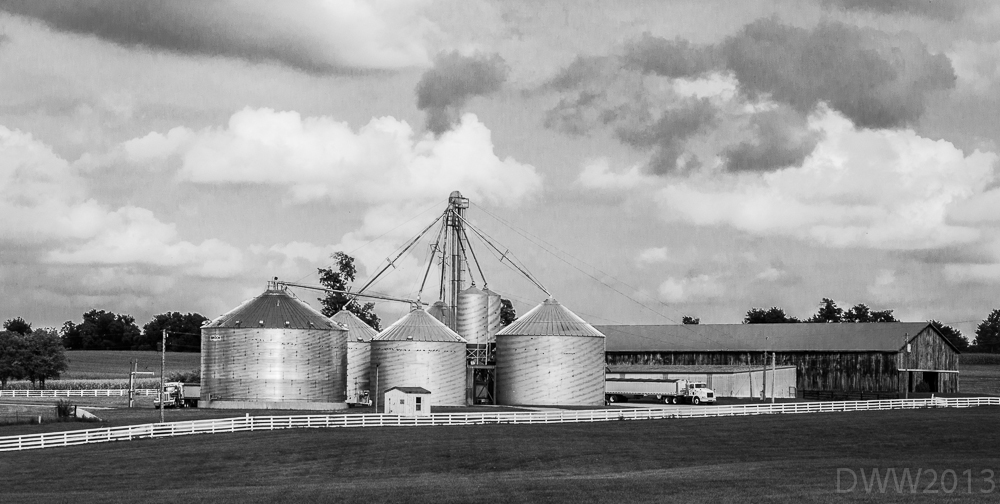 Steel Silo (1 of 1).jpg