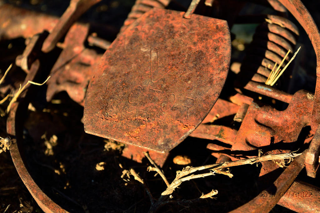 steel-trap_outtake-DSC_2886.jpg steel-trap_outtake-DSC_2886.jpg