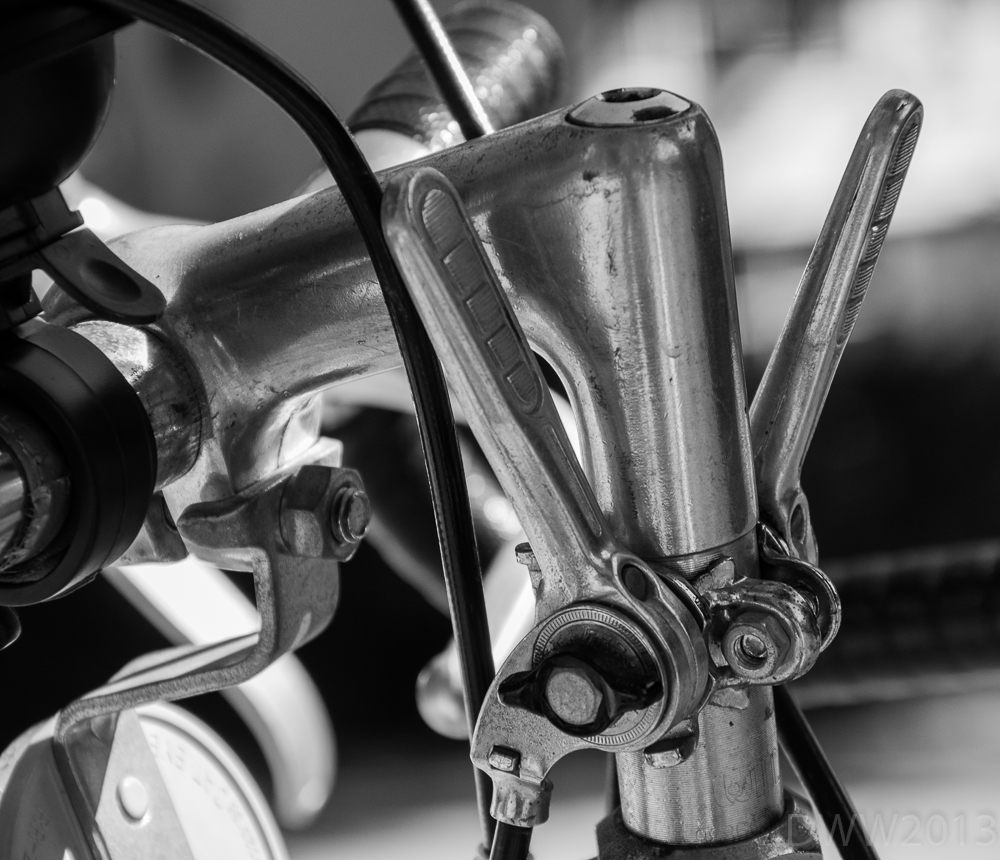 Stem Shifters (1 of 1).jpg