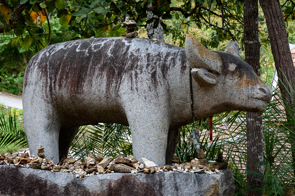 stone-baffalo-1.jpg