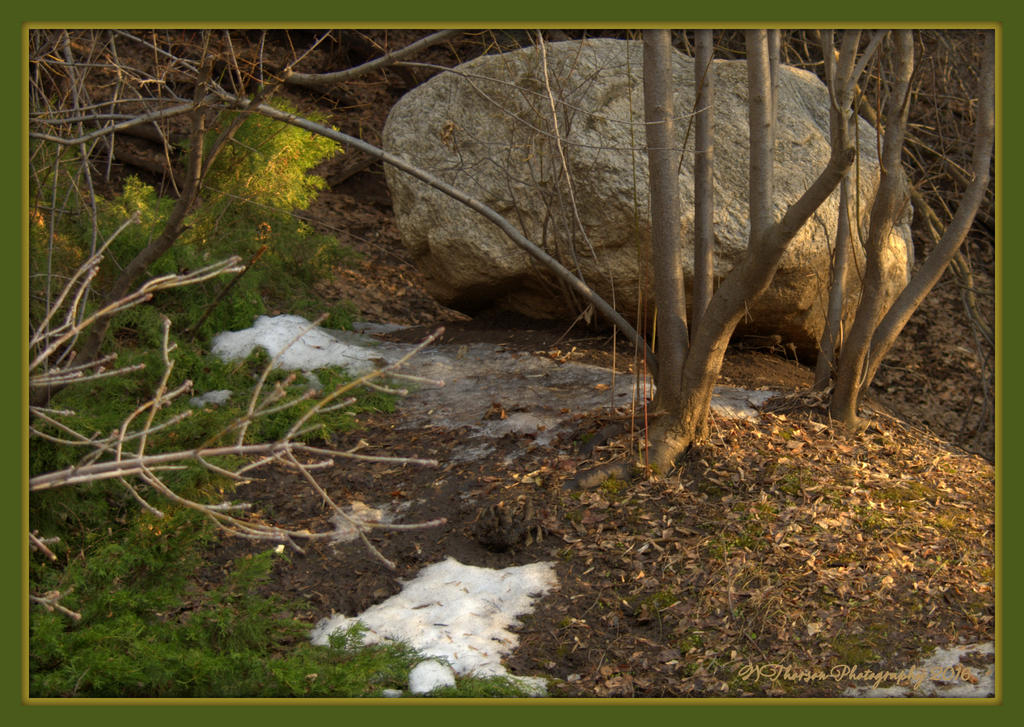 Stone, Snow, and Trees in Layton 2-25-2016.jpg