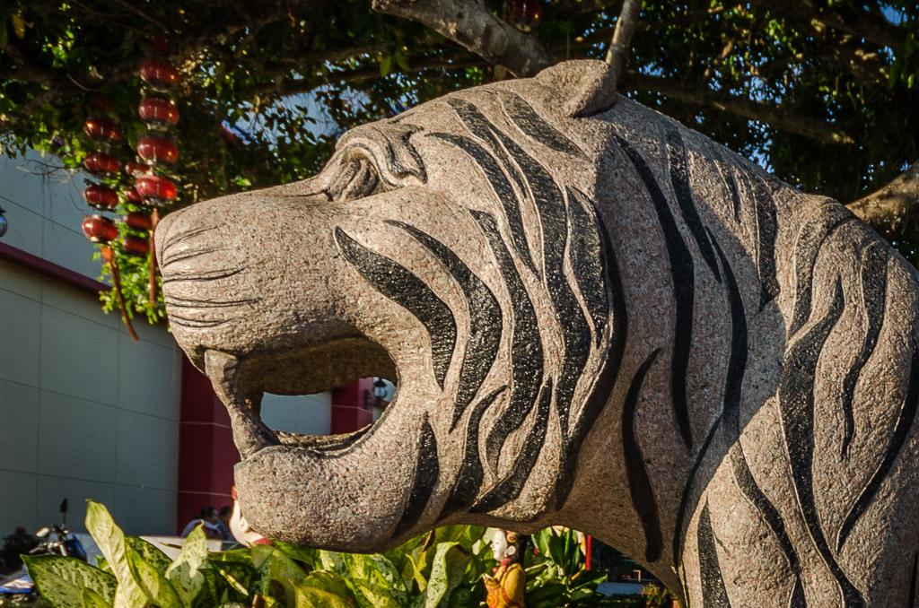 stone-tiger-2.jpg
