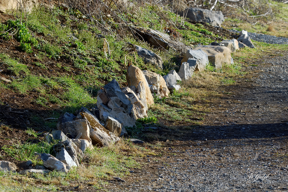 Stones and some sticks sm.jpg