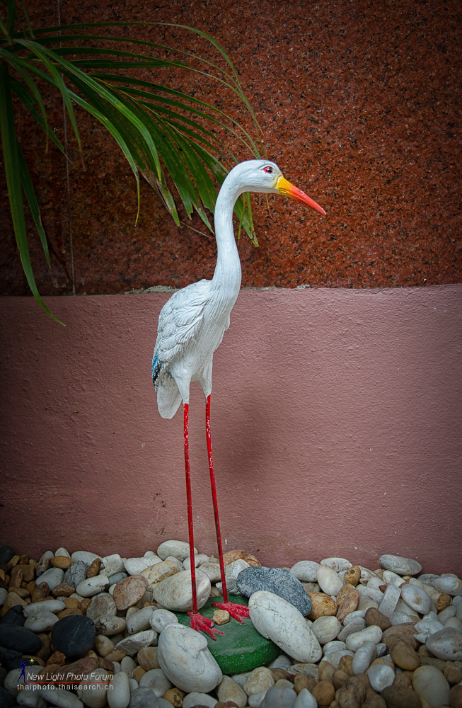 stork.jpg