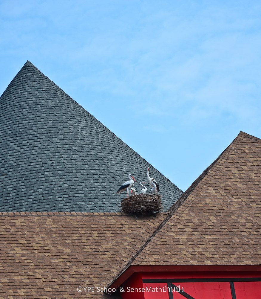 storkroof-1.jpg