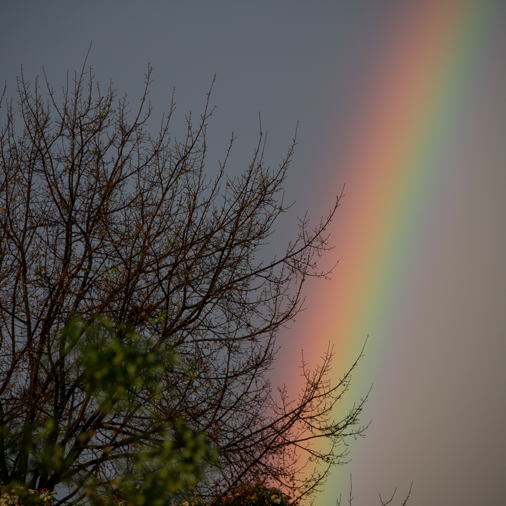 storm - 16th-2.jpg