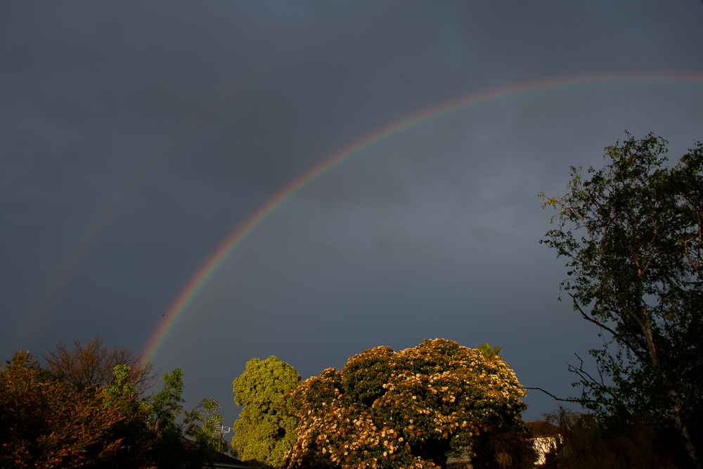 storm - 16th-7.jpg