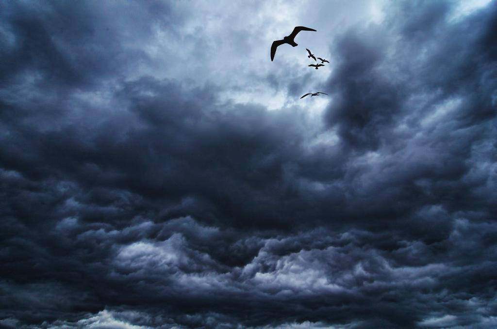 storm cloud w gulls1500.jpg