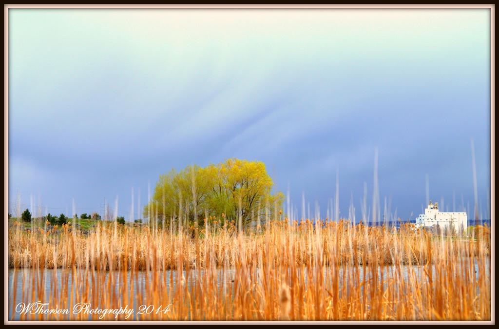 Storm Coming In.jpg