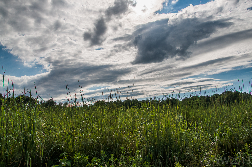 Storm front (1 of 1).jpg