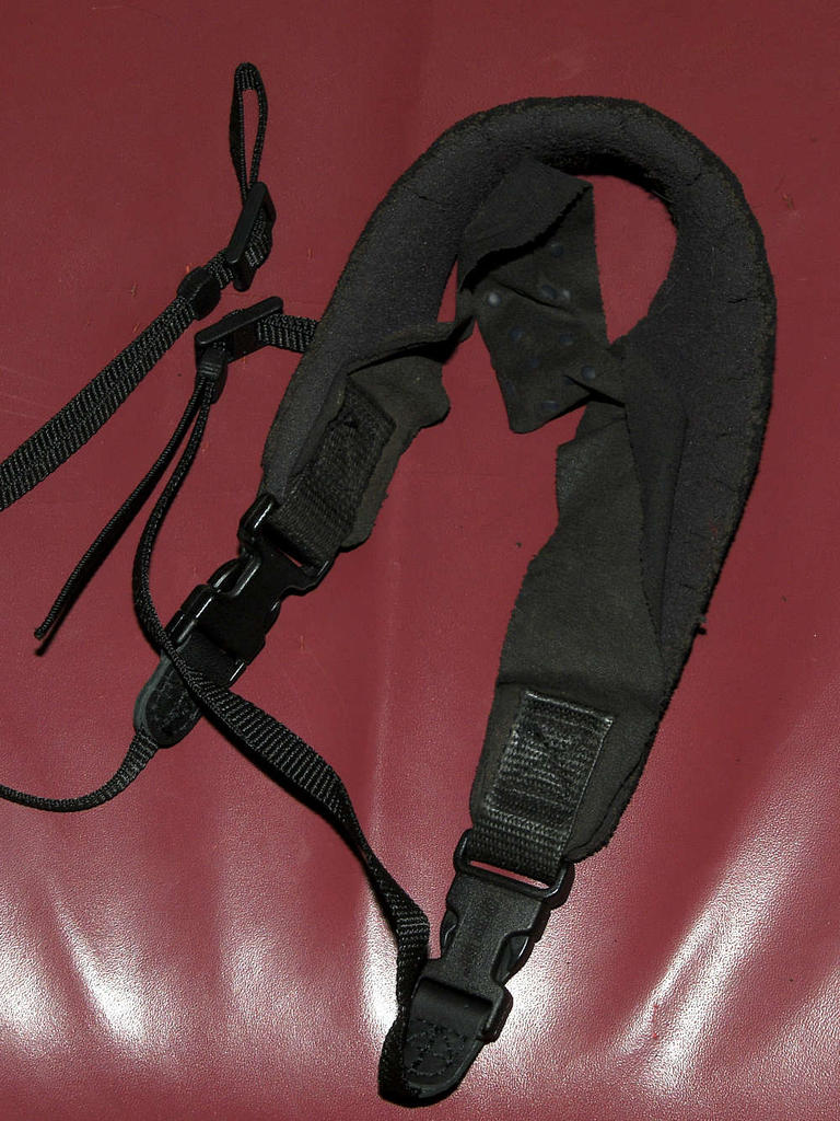 Strap.jpg