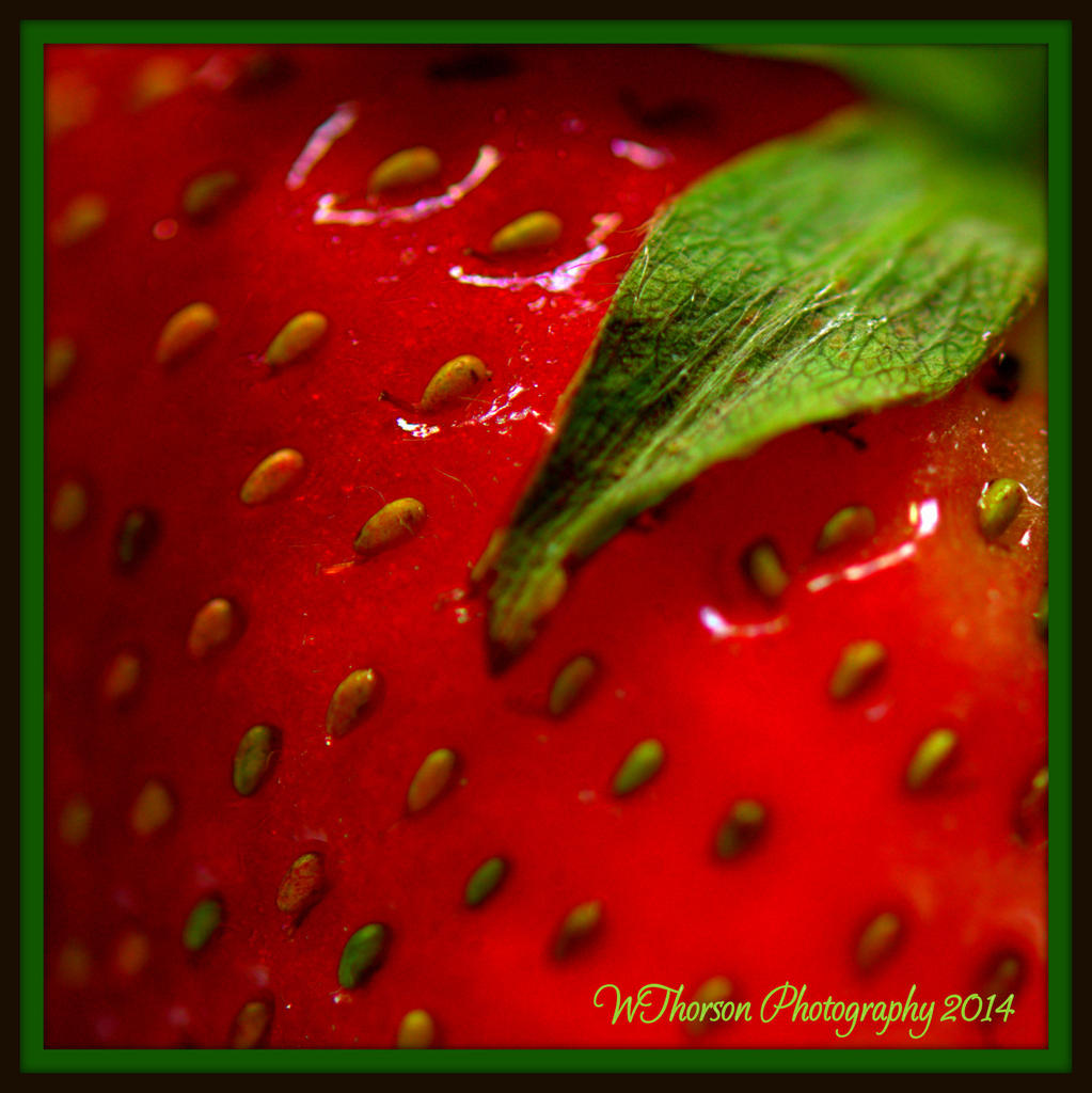 Strawberry Closer.jpg