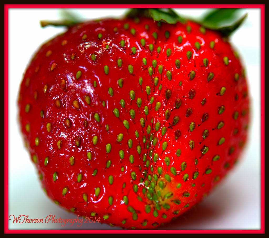 Strawberry.jpg