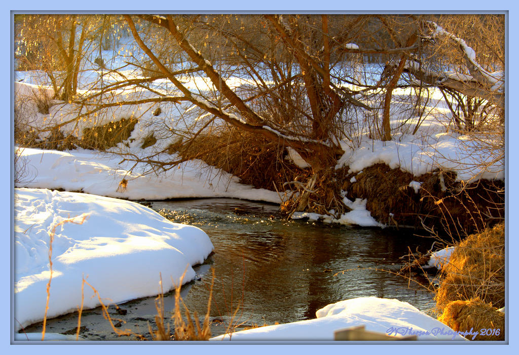 Stream in Porterville 2-13-2016.jpg