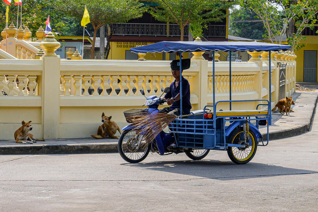 street-1.jpg