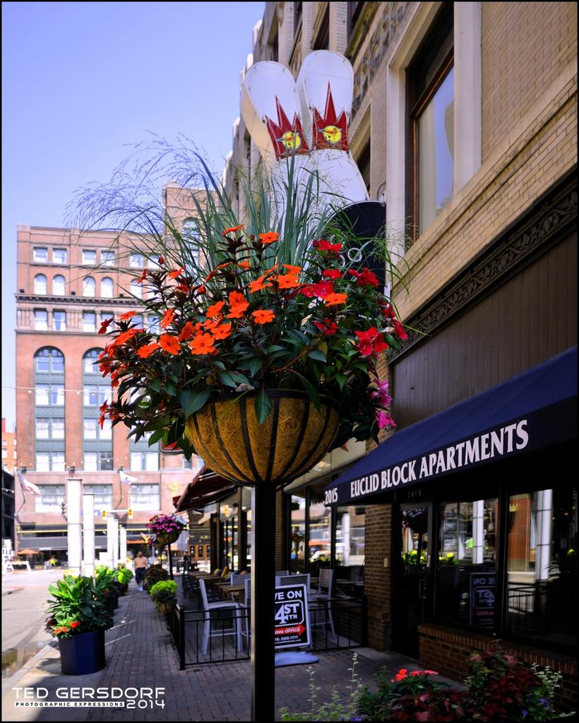 Street Flowers II_2056.jpg