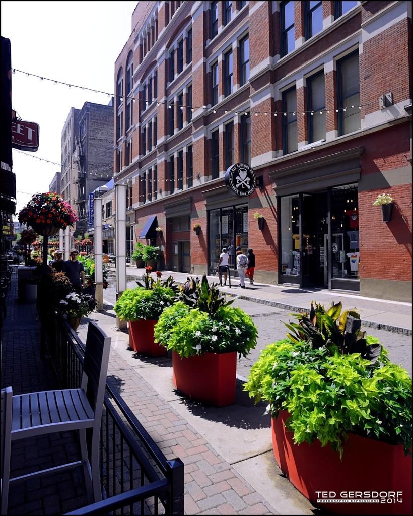 Street Flowers III_2057.jpg