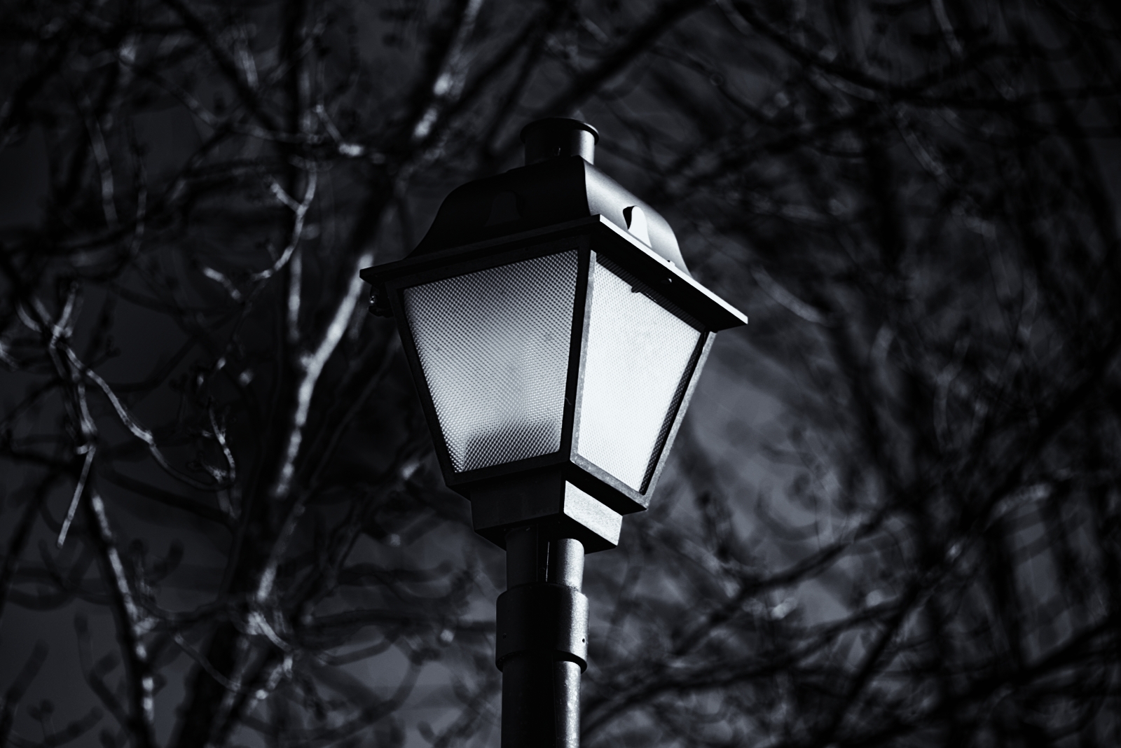 street light.JPG