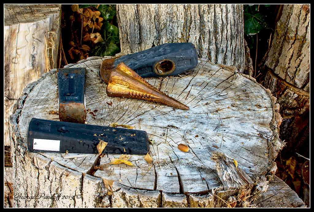 Stump.jpg
