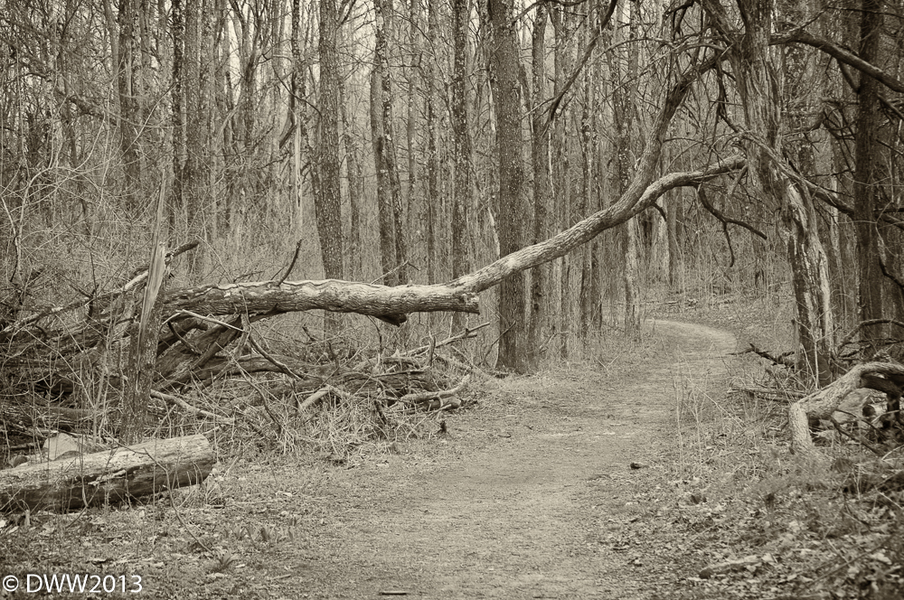 Sugarcreek Reserve Re Edit 1.jpg