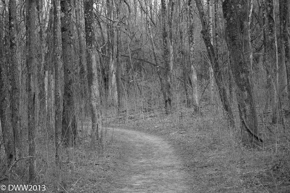 Sugarcreek Reserve Re Edit.jpg