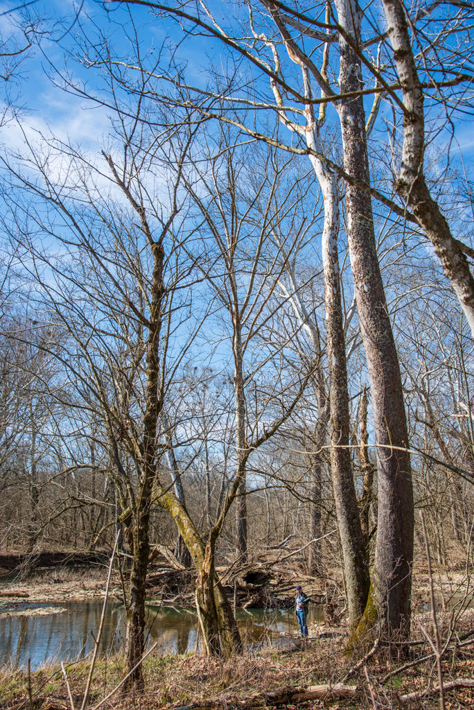 Sulpher - Wises Landing-0205.jpg