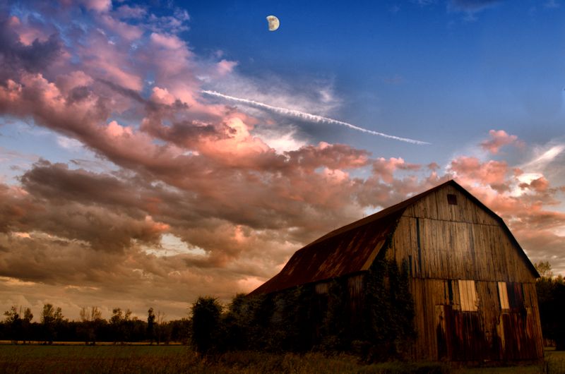 summer barn800.jpg