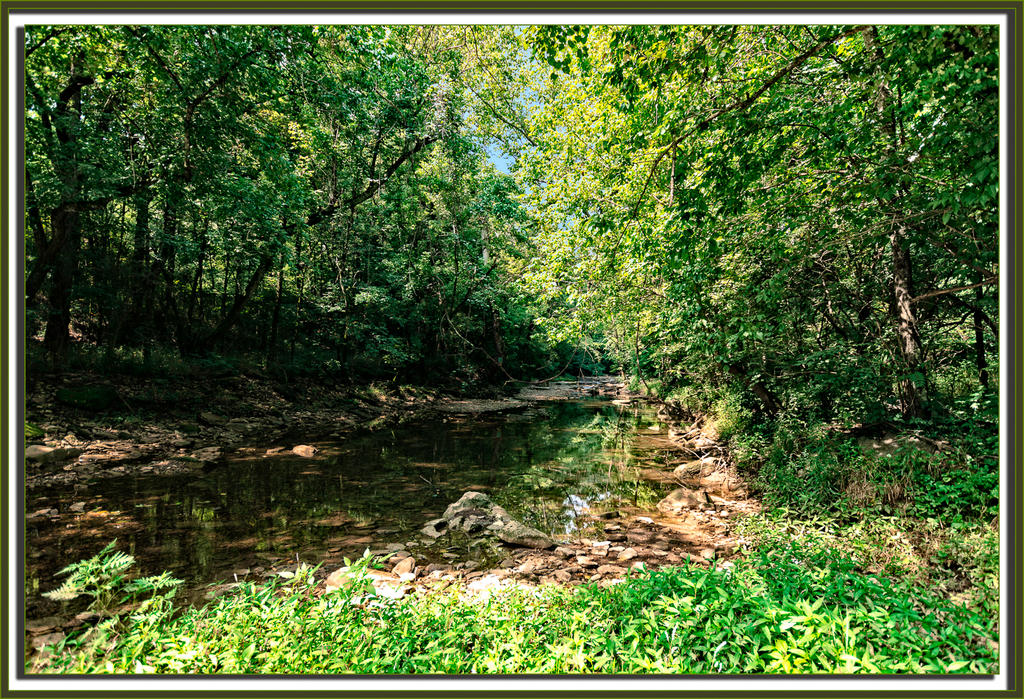 Summertime 20160727-1336-Edit.jpg