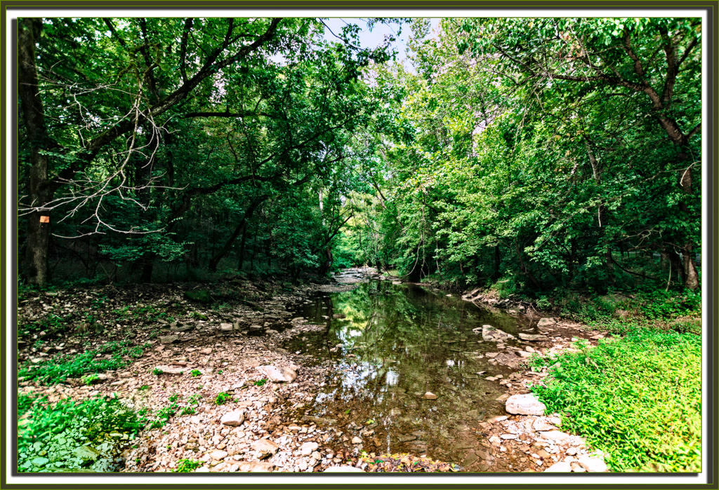 Summertime 20160727-1338-Edit.jpg