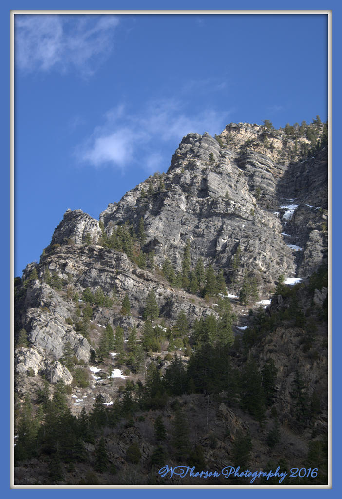 Sun and Snow on the Mountain 3-7-2016.jpg