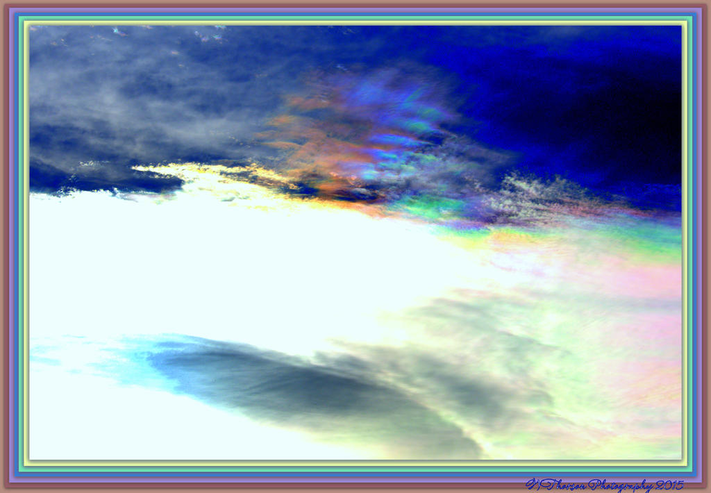 Sun Dog 3-16-2015.jpg