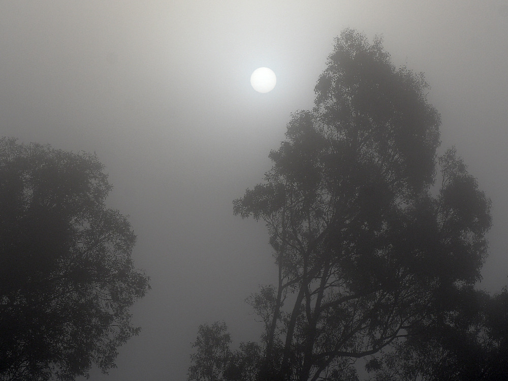 Sun.jpg
