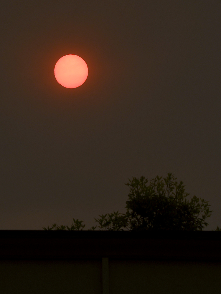 Sun.jpg