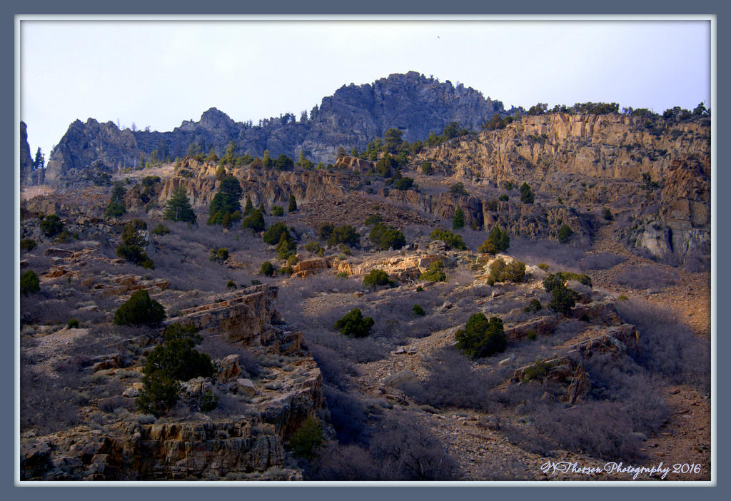 Sun Light on Timponogos Mountains 3-7-2016.jpg