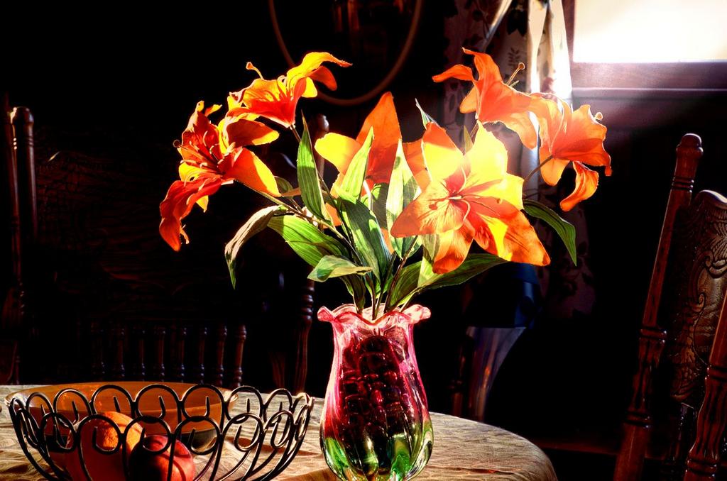 sunbeams and lilys 1200.jpg