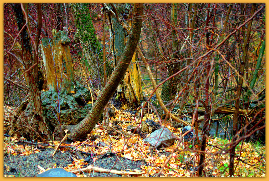 Sundance Landscape.jpg