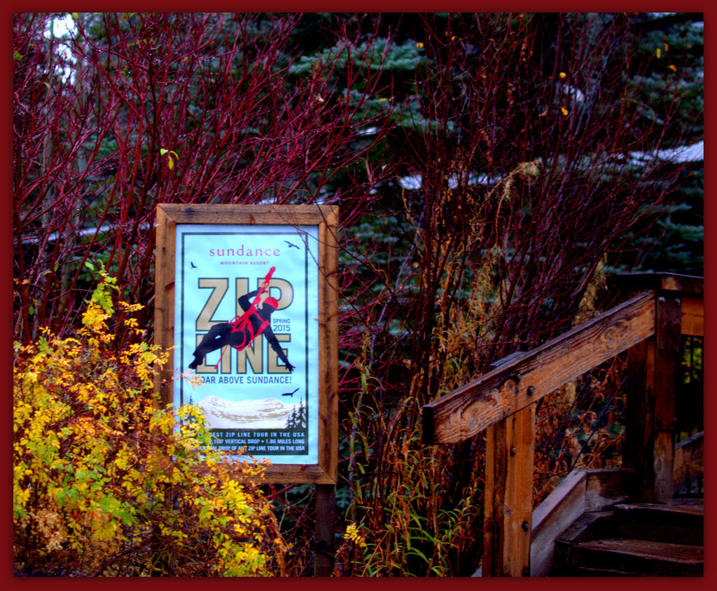 Sundance Zipline.jpg