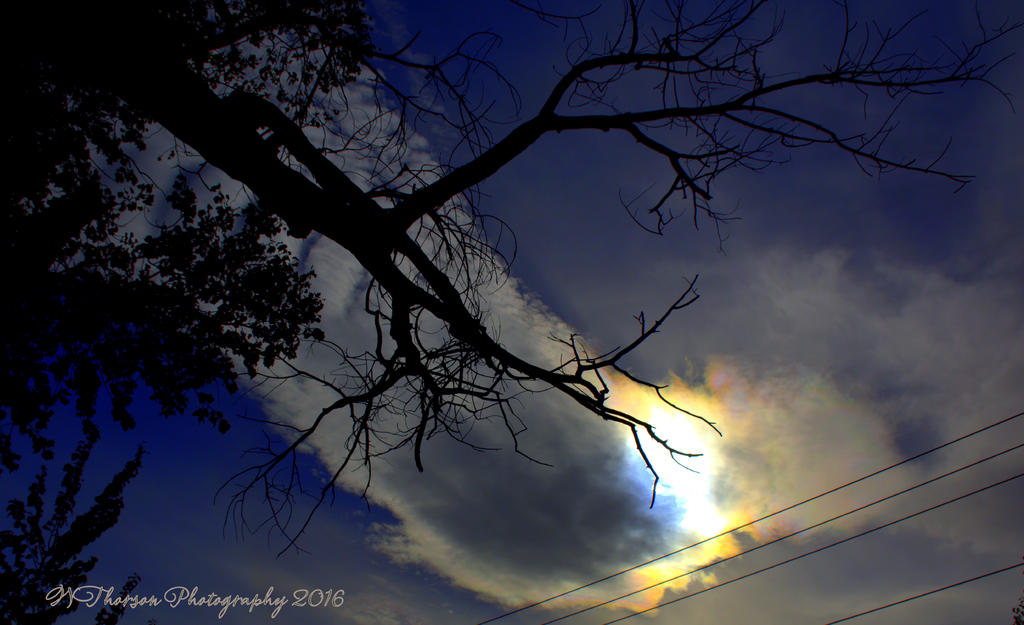Sundog 10-10-2016.jpg