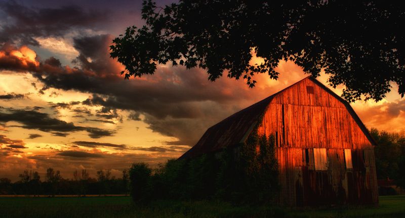 sundown on the farm800.jpg