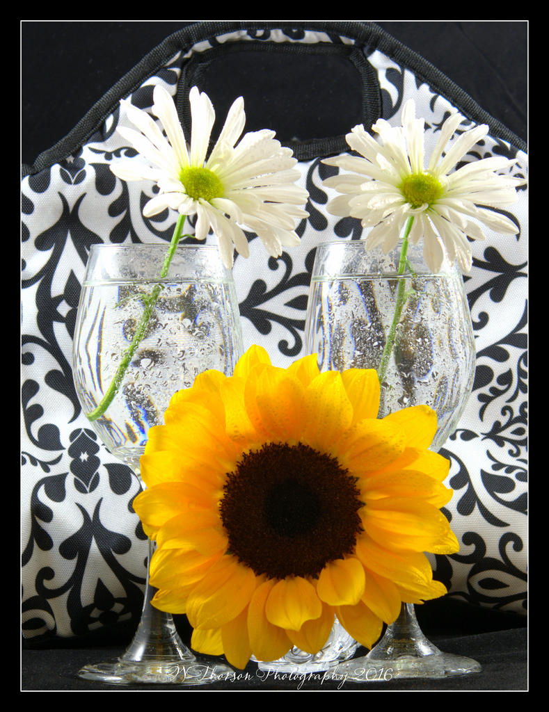 Sunflower and Glasses #2 5-17-2016.jpg