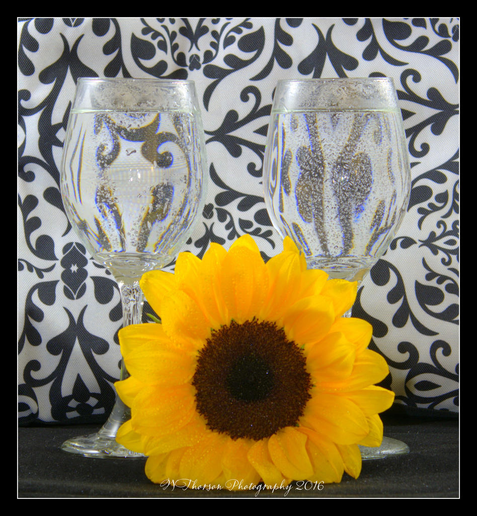 Sunflower and Glasses 5-17-2016.jpg