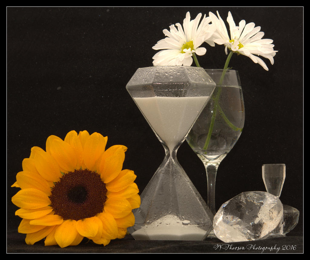 Sunflower, Dasies, Sand Timer, and Crystals 5-19-2016.jpg
