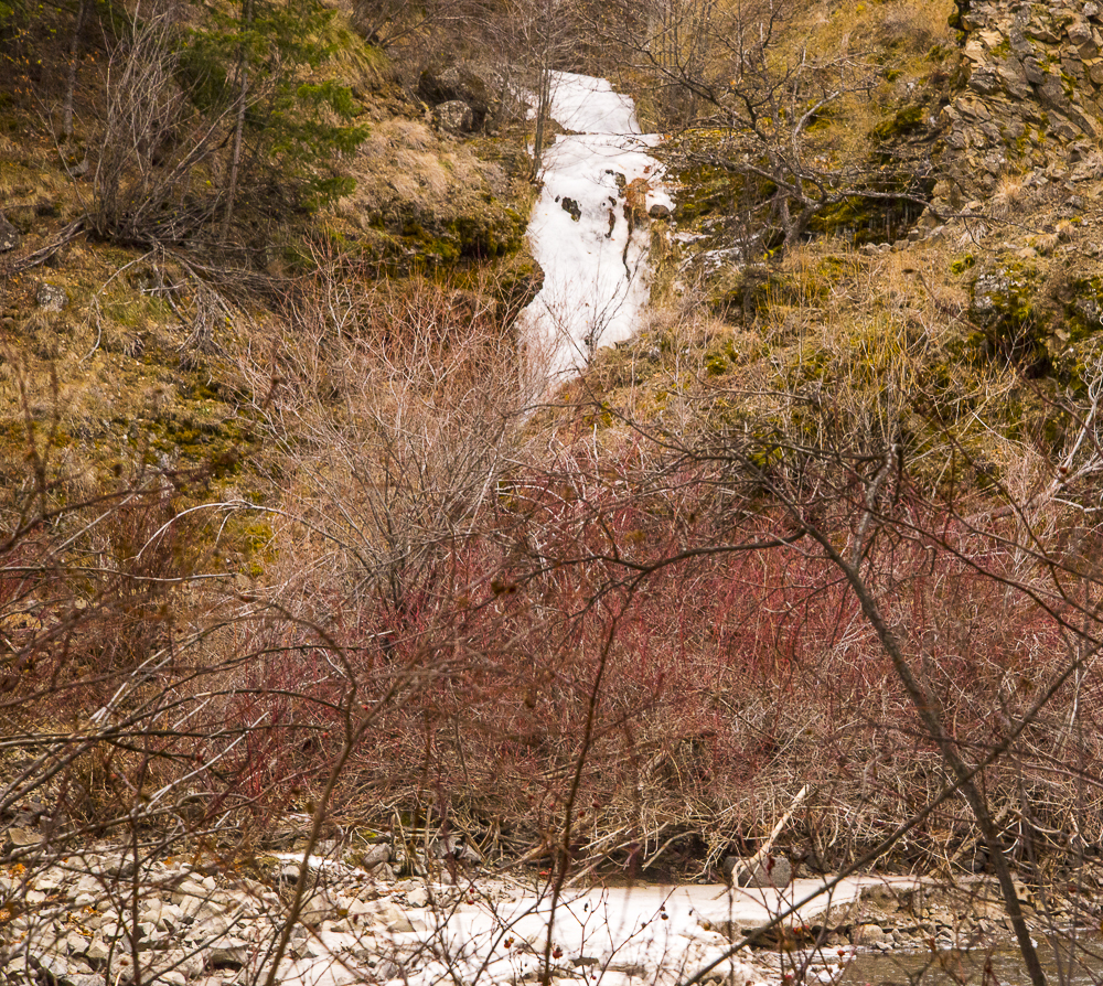 sunny day-25.jpg