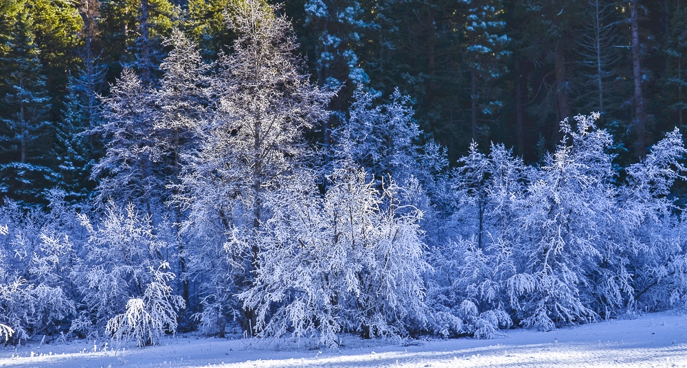 sunny day-34.jpg