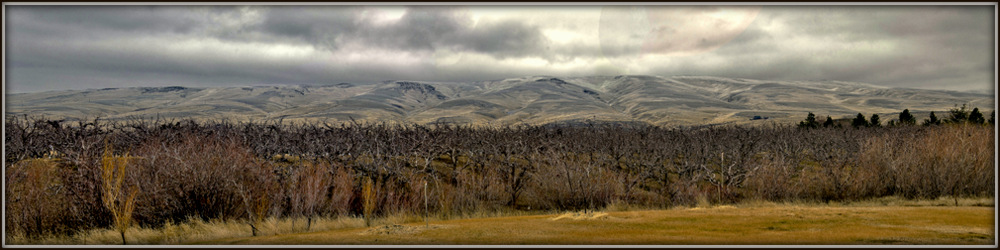 sunny day-34 Stitch.jpg