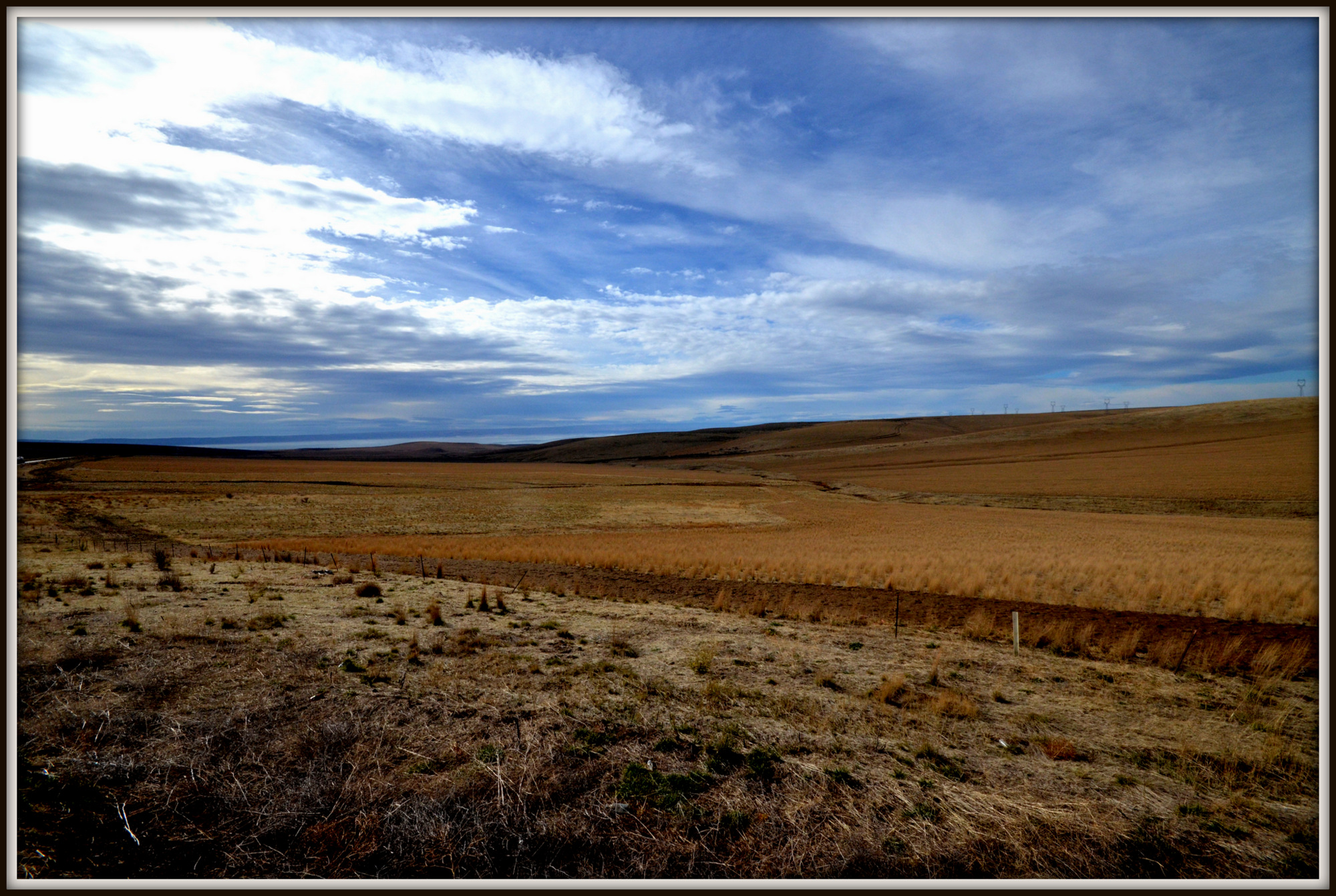 SUNNYSIDE S 052.JPG