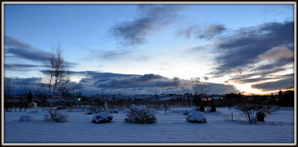 sunrise 020.jpg