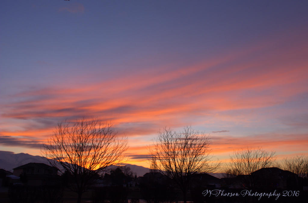 Sunrise #1 12-20-2016.jpg