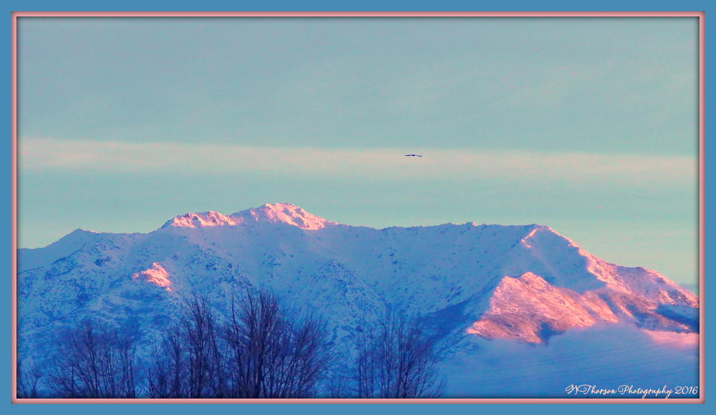 Sunrise 1-19-2016.jpg